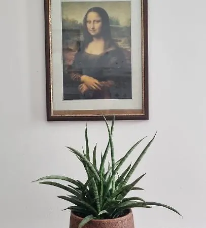 Guest house Boemio 30 - Coliving *